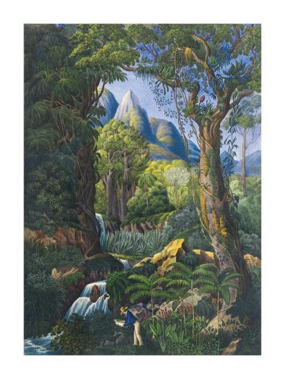 Premium Giclee Print, , large