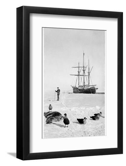 Premium Photographic Print, , large