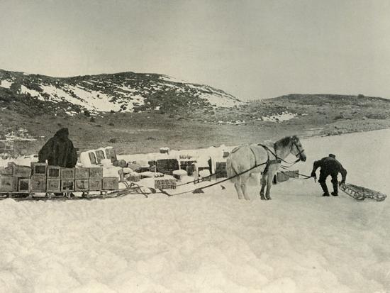 Photographic Print, , large