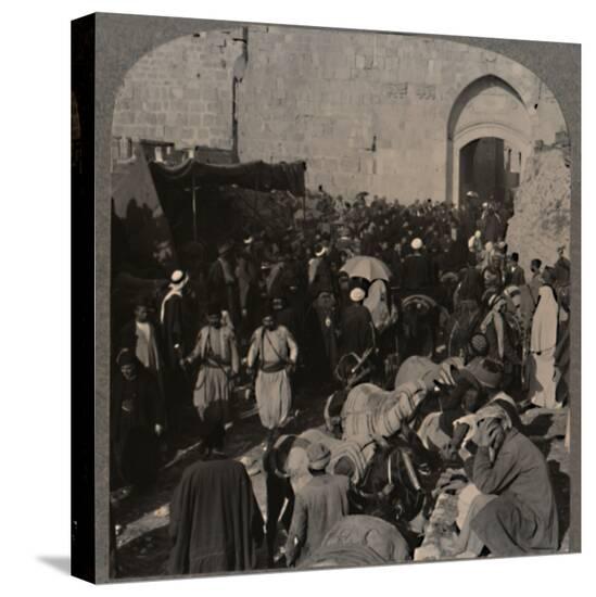 Stretched Canvas Print, , large