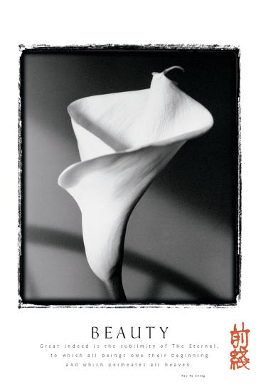 Photo, , large