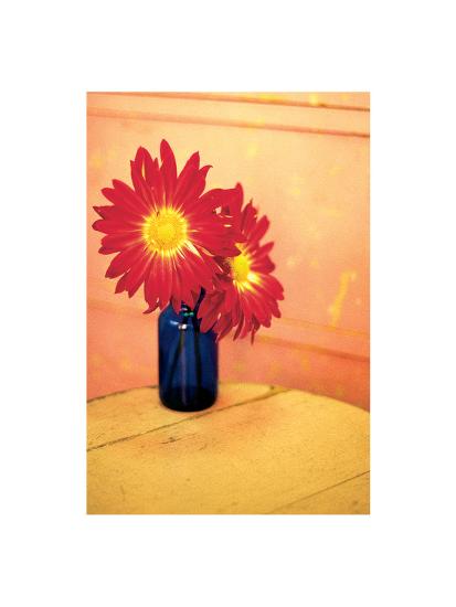 Photo, , large