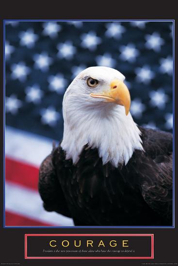 Photo, , large