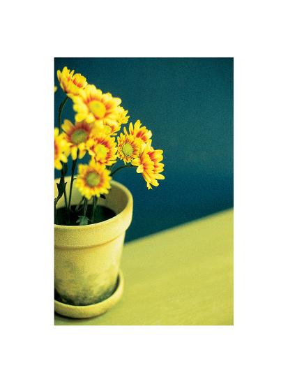 Photo, , large
