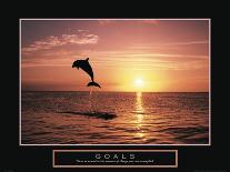 Goals - Dolphin-Unknown Unknown-Photo