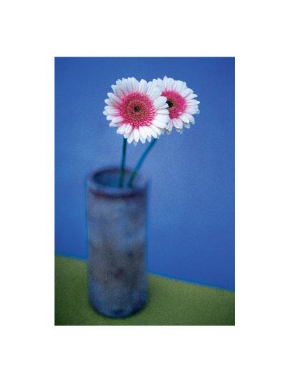 Photo, , large