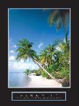 Relax - Palm Trees on Beach-Unknown Unknown-Photo