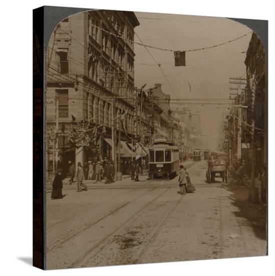 Stretched Canvas Print, , large