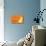 Unleash - Orange Version-Dog is Good-Premium Giclee Print displayed on a wall
