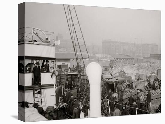 Unloading a Banana Steamer, Baltimore, Md.-null-Stretched Canvas