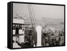 Unloading a Banana Steamer, Baltimore, Md.-null-Framed Stretched Canvas