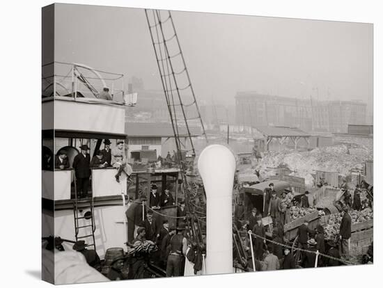 Unloading a Banana Steamer, Baltimore, Md.-null-Stretched Canvas