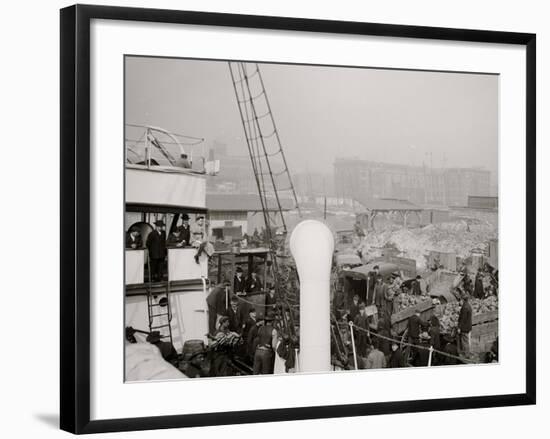 Unloading a Banana Steamer, Baltimore, Md.-null-Framed Photo