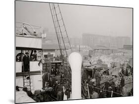 Unloading a Banana Steamer, Baltimore, Md.-null-Mounted Photo