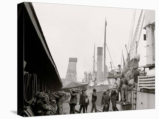 Unloading a Banana Steamer, Mobile, Ala.-null-Stretched Canvas