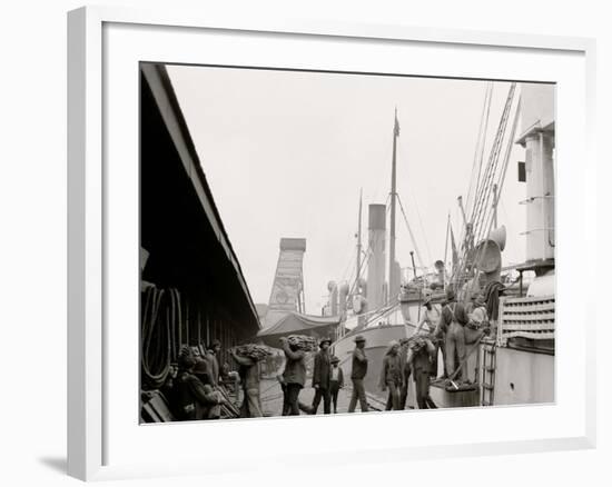 Unloading a Banana Steamer, Mobile, Ala.-null-Framed Photo