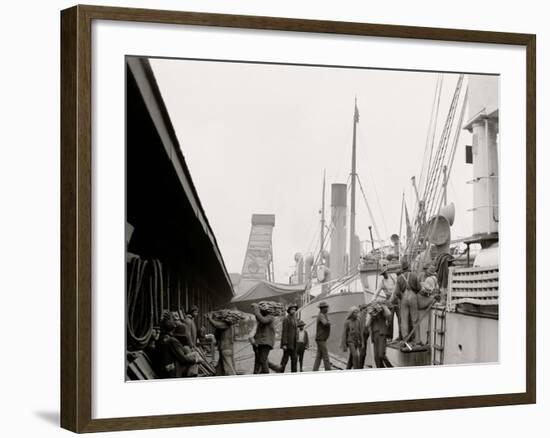 Unloading a Banana Steamer, Mobile, Ala.-null-Framed Photo