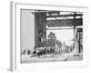 Unloading Cane at a Modern Mill-null-Framed Photo