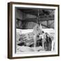 Unloading Cocoa Beans from a Barge-Heinz Zinram-Framed Photographic Print