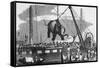 Unloading Elephants from Ship; Illustrat-null-Framed Stretched Canvas