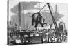 Unloading Elephants from Ship; Illustrat-null-Stretched Canvas