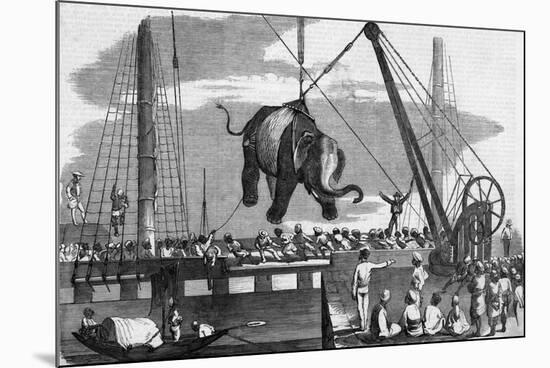 Unloading Elephants from Ship; Illustrat-null-Mounted Giclee Print