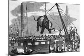 Unloading Elephants from Ship; Illustrat-null-Mounted Giclee Print