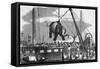 Unloading Elephants from Ship; Illustrat-null-Framed Stretched Canvas