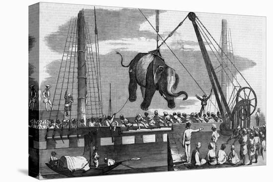 Unloading Elephants from Ship; Illustrat-null-Stretched Canvas