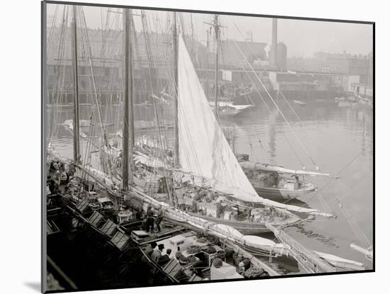 Unloading Fish Att Wharf, Boston, Mass.-null-Mounted Photo