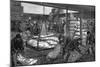 Unloading Frozen Meat from Australia, South West India Dock, Millwall, London, 1881-null-Mounted Giclee Print