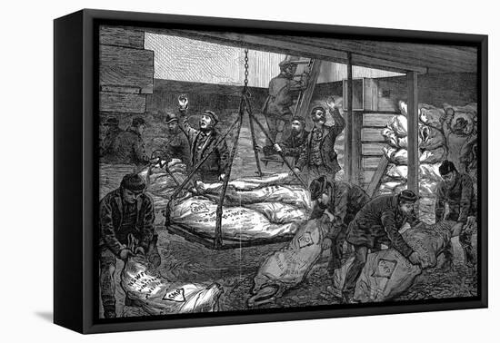 Unloading Frozen Meat from Australia, South West India Dock, Millwall, London, 1881-null-Framed Stretched Canvas