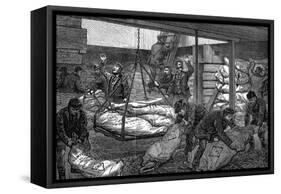 Unloading Frozen Meat from Australia, South West India Dock, Millwall, London, 1881-null-Framed Stretched Canvas