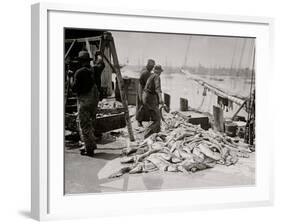 Unloading Gortons Codfish, Gloucester, Mass.-null-Framed Photo