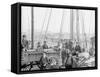 Unloading Oyster Luggers, Baltimore, Md.-null-Framed Stretched Canvas