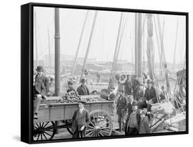 Unloading Oyster Luggers, Baltimore, Md.-null-Framed Stretched Canvas