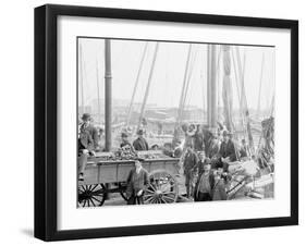 Unloading Oyster Luggers, Baltimore, Md.-null-Framed Photo