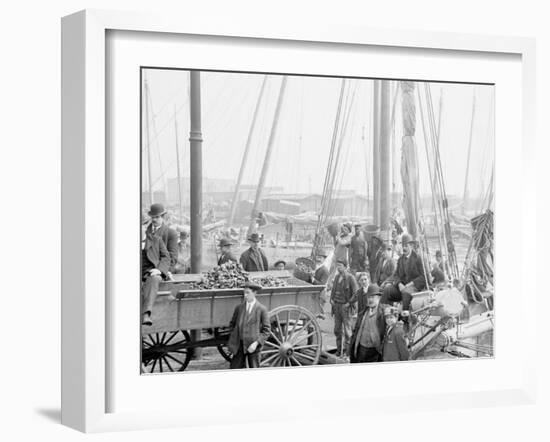 Unloading Oyster Luggers, Baltimore, Md.-null-Framed Photo