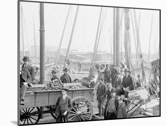 Unloading Oyster Luggers, Baltimore, Md.-null-Mounted Photo