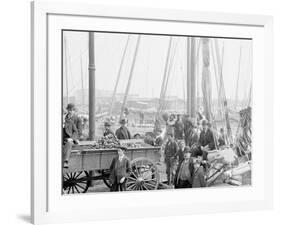 Unloading Oyster Luggers, Baltimore, Md.-null-Framed Photo