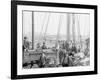 Unloading Oyster Luggers, Baltimore, Md.-null-Framed Photo