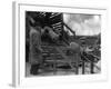 Unloading Sheep-null-Framed Photographic Print