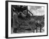 Unloading Sheep-null-Framed Photographic Print