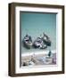 Unloading the Morning's Catch of Fish, Dhanushkodi, Tamil Nadu, India, Asia-Annie Owen-Framed Photographic Print