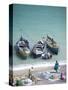 Unloading the Morning's Catch of Fish, Dhanushkodi, Tamil Nadu, India, Asia-Annie Owen-Stretched Canvas