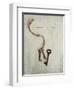 Unlock My Love-Susannah Tucker-Framed Art Print