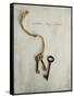 Unlock My Love-Susannah Tucker-Framed Stretched Canvas