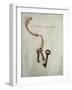 Unlock My Love-Susannah Tucker-Framed Art Print