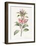 Unnamed, 1827-Louise D'Orleans-Framed Giclee Print