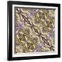 Unnatural 120.1-Giovanni Cafagna-Framed Photographic Print